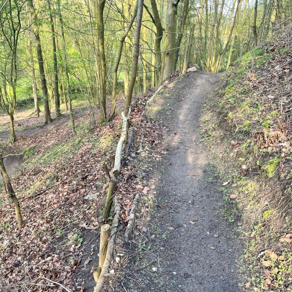 Mountainbikesporet Lærkedal på Sydfyn