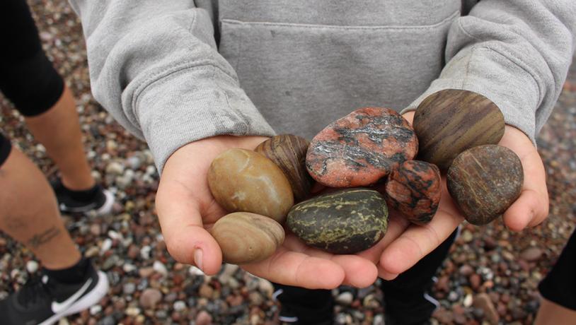 Elev har fundet forskellige stentyper på stranden