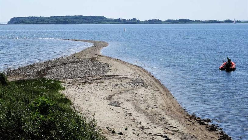 Svelmø Trille. Geopark Det Sydfynske Øhav.