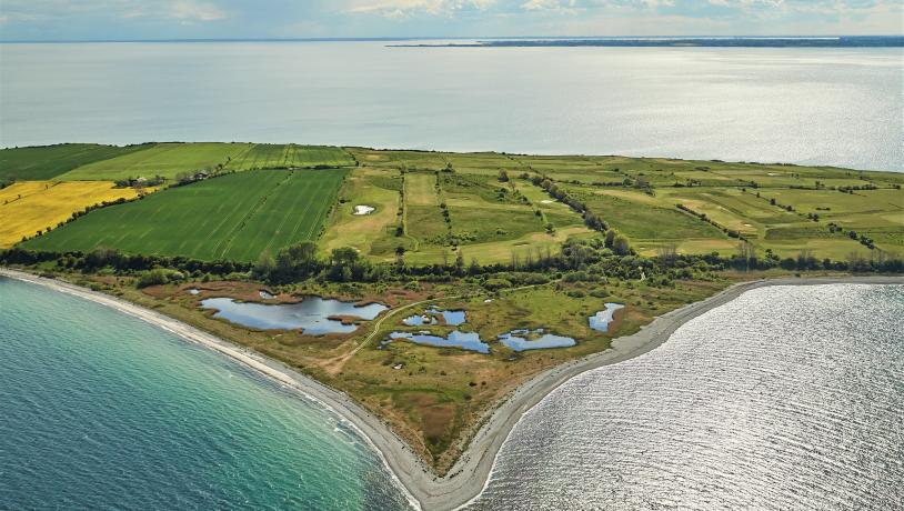 Næbbet. Ærø - Geopark Det Sydfynske Øhav.