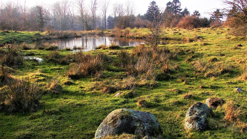 Rødme Svinehaver. Geopark Det Sydfynske Øhav