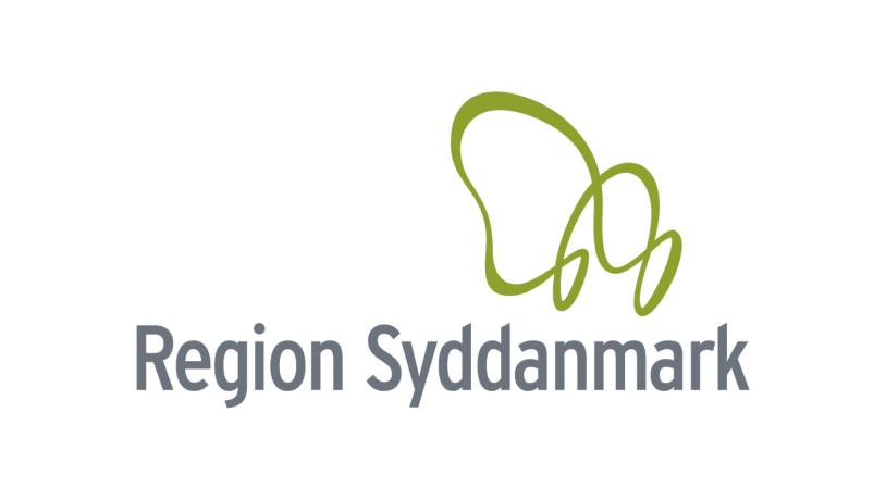 Region Syddanmark Logo med border