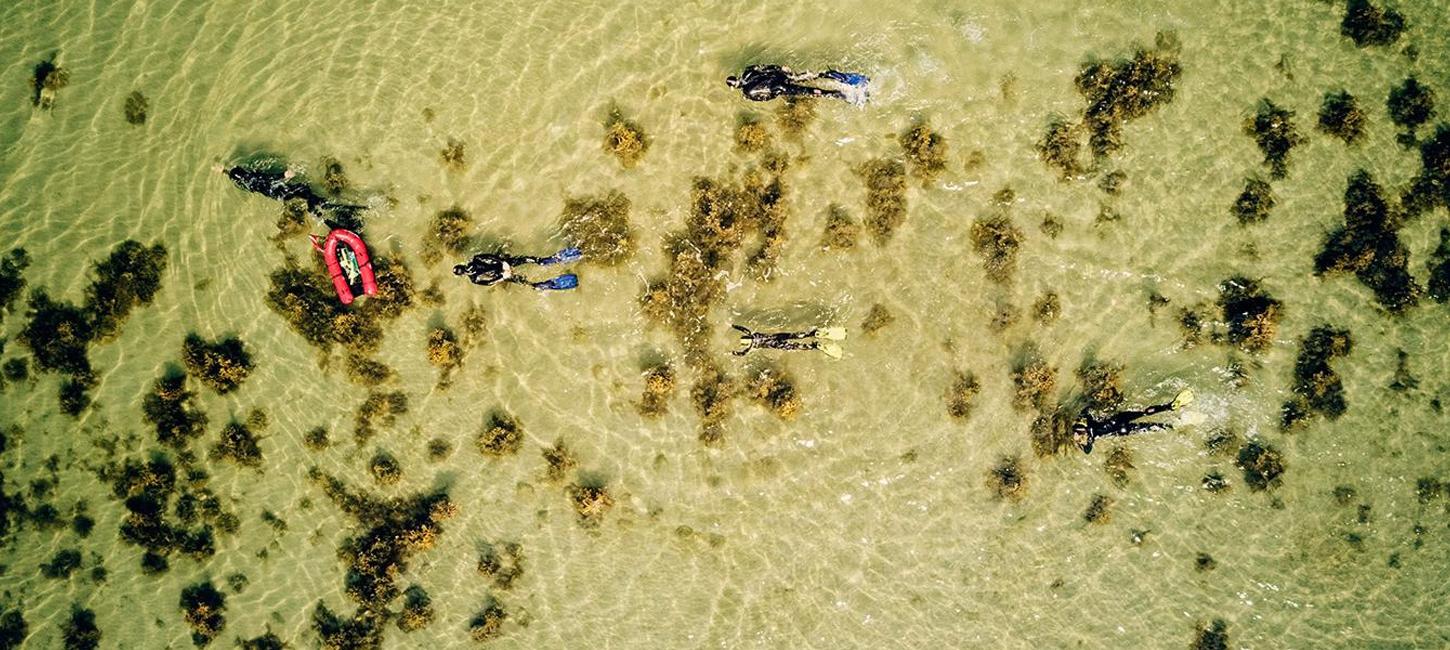 Dronefoto af en gruppe dykkere på lavt vandt