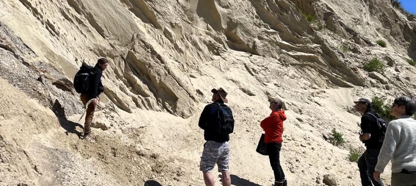 Guidet tur til Ristinge Klint 2024