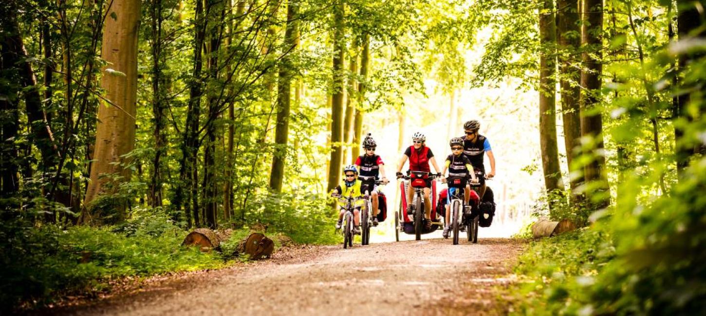 Familie på cykeltur gennem skoven på sydfyn