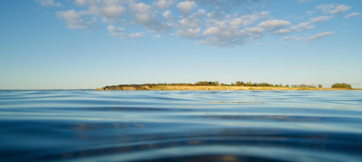 Foto taget fra vandet med udsigt til Drejø