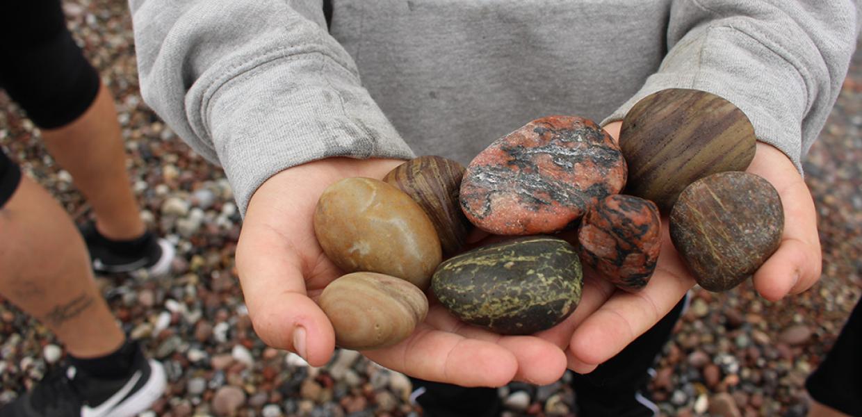 Elev har fundet forskellige stentyper på stranden