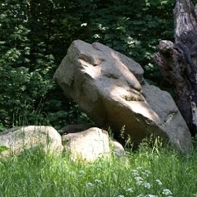 Det vrimler med fortidsminder i Pipstorn Skov.