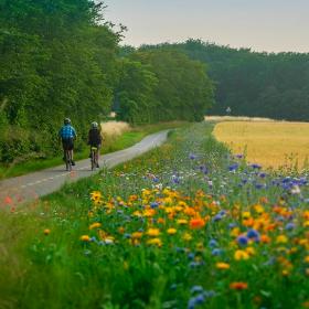 Cykelferie på Langeland - opdag den danske natur