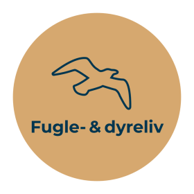 Fugle- og dyreliv