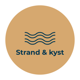 Strand og kyst